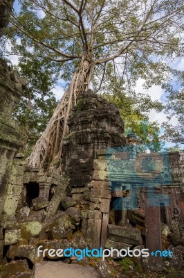 Angkor Ta Prohm In Cambodia Stock Photo