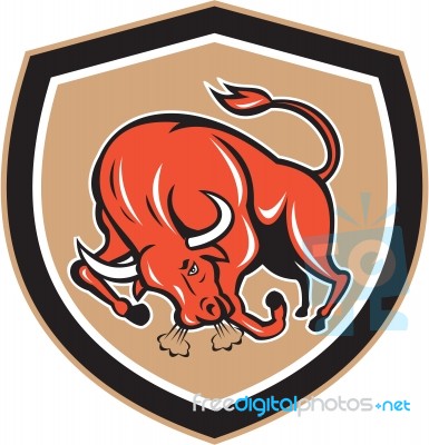 Angry Bull Charging Shield Cartoon Stock Image