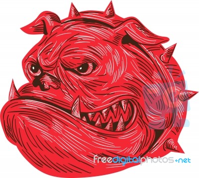 Angry Bulldog Head Drawing Stock Image