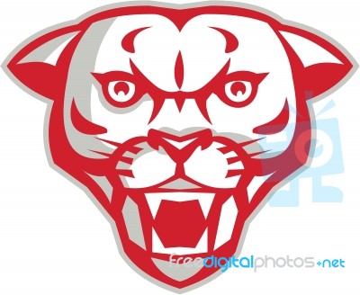 Angry Cougar Mountain Lion Head Retro Stock Image Angry Cougar Mountain Lion Head Retro Stock Image