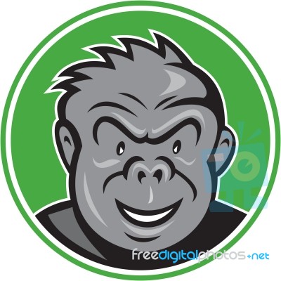 Angry Gorilla Head Circle Cartoon Stock Image