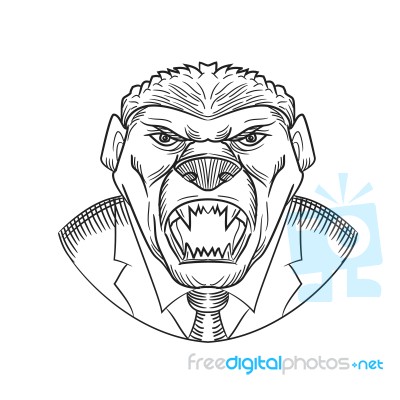 Angry Honey Badger Wearing Coat And Tie Drawing Stock Image