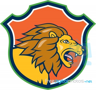 Angry Lion Head Roar Shield Cartoon Stock Image