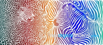 Animal Background With Motif Wild Zebra And Leopard Stock Image