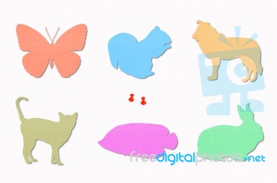 Animals Colored Notes Stock Photo