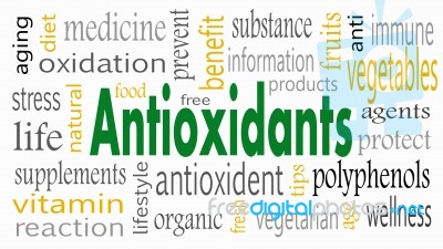 Antioxidant Word Cloud Concept - Illustration Stock Image