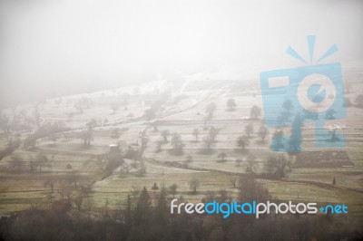 Apple Orchard In Late Fall. First Snow Laid Down Stock Photo