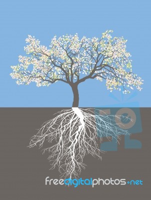 Apple Tree In Spring With Roots Stock Image