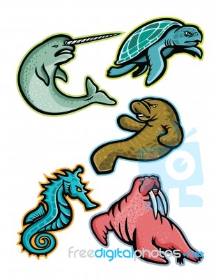 Aquatic Animals And Marine Mammals Collection Stock Image