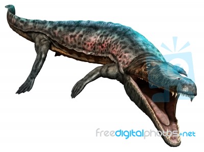 Archegosaurus Stock Image