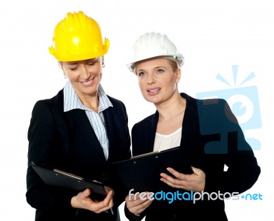 Architects Reviewing Documents Stock Photo
