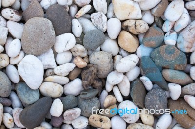 
Area Paved With Stones Of Many Colors. Walking Foot Comfort Sof… Stock Photo