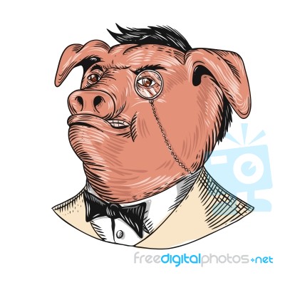 Aristocrat Pig Monocle Tuxedo Drawing Stock Image