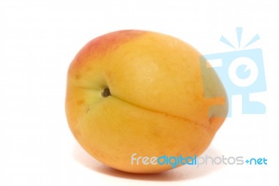 Armenian Plum (prunus Armeniaca) Stock Photo