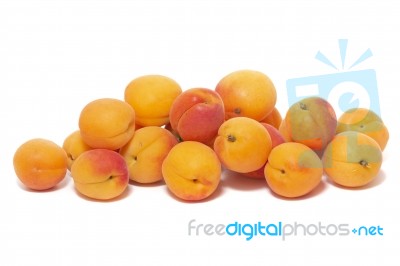 Armenian Plums (prunus Armeniaca) Stock Photo