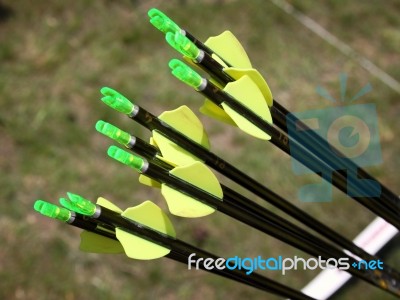 Arrows Stock Photo