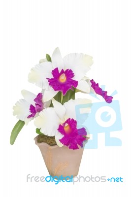 Artificial Cattleya Orchid Flowers Stock Photo