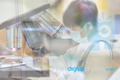 Asia Scientist Working In Biological Laboratory Stock Photo