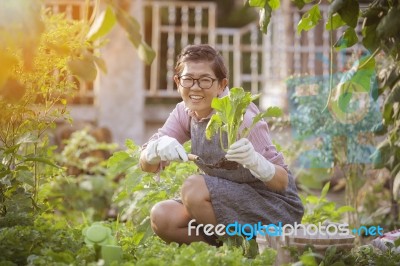 Asian Woman Happiness Emotion Relaxing In Home Gardening Activities Stock Photo