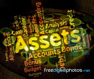 Assets Words Means Holdings Property And Estate Stock Image