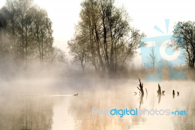 Atmosphere Of Mist Stock Photo