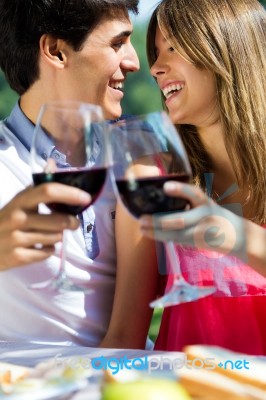 Attractive Couple Drinking Wine On Romantic Picnic In Countrysid… Stock Photo