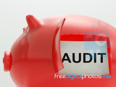 Audit Piggy Bank Means Inspection And Validation Stock Image
