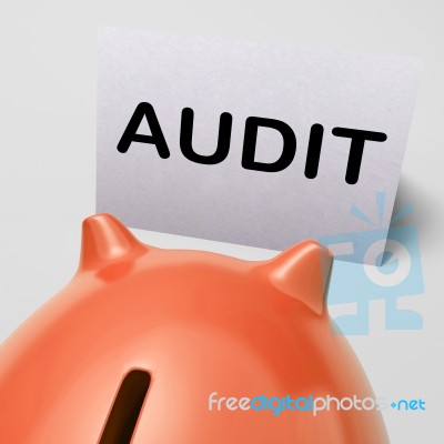 Audit Piggy Bank Shows Inspect Analyze And Verify Stock Image