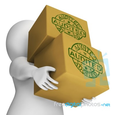 Audited Boxes Mean Company Finances And Accounts Are Assessed Stock Image