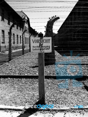 Auschwitz Stock Photo Auschwitz Stock Photo