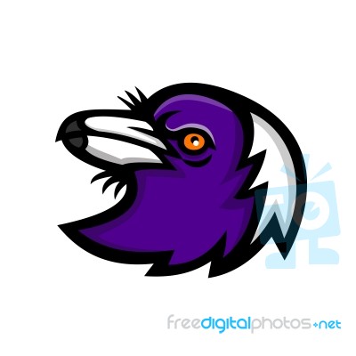 Australian Magpie Head Mascot Stock Image