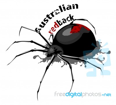 Australian Redback Spider Stock Image