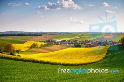 Austria Spring Colza Fields. Village On A Hills Stock Photo