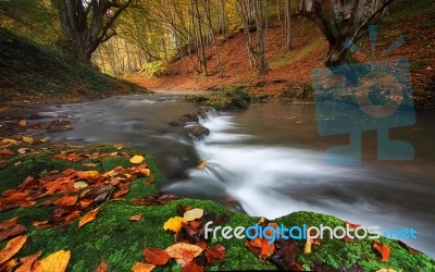 Autumn Stock Photo