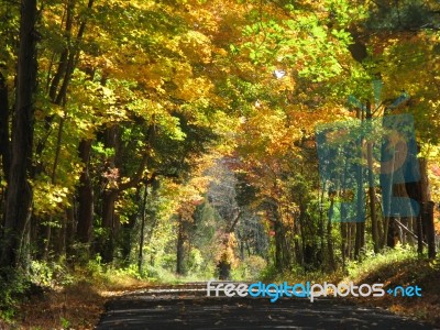 Autumn Bucks County Country Road Stock Photo