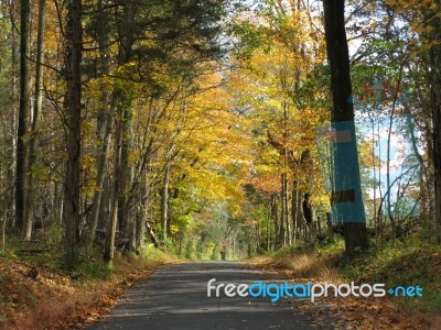 Autumn Bucks County, Pa Road With Orange & Green Foliage Stock Photo