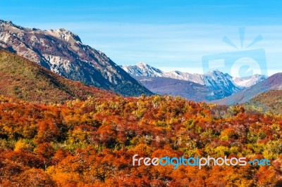 Autumn Colors Of Patagonia, Near Bariloche, Argentina Stock Photo