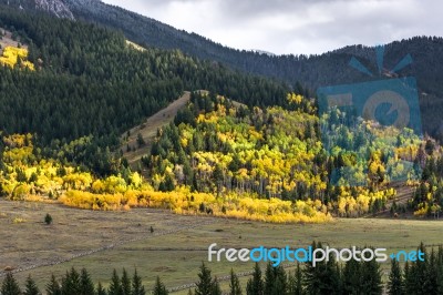 Autumn Colours In Wyoming Stock Photo