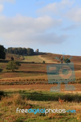 Autumn Countryside Colours Stock Photo