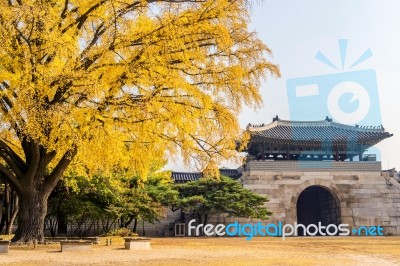 Autumn In Gyeongbokgung Palace,south Korea Stock Photo