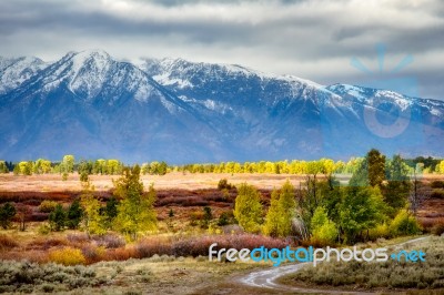 Autumn In The Grand Tetons Stock Photo