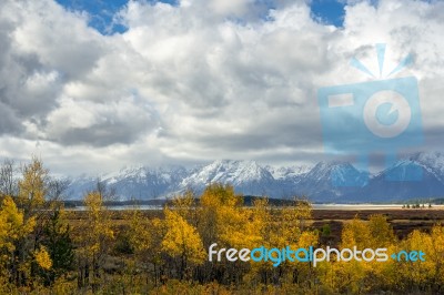 Autumn In The Grand Tetons Stock Photo