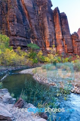 Autumn In The  Virgin River Valley In Zion Stock Photo