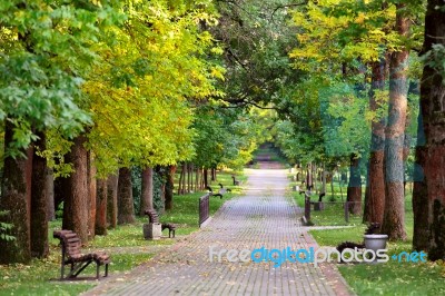 Autumn Landscape – Benches On A Beautiful Autumn Walkway In Pa… Stock Photo