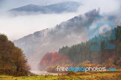 Autumn Rain And Fog In The Mountains. Colorful Autumn Forest Bac… Stock Photo