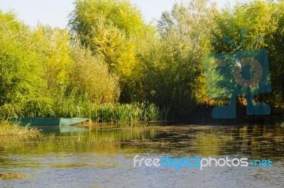 Autumn Scenery Near A Lake With Yellow Leaves On  Trees In Fall Stock Photo