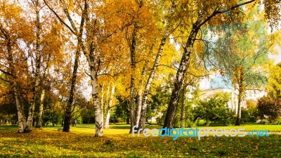 Autumn Season In Russia Moscow Stock Photo