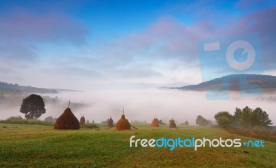 Autumn September Foggy Morning In Mountains Stock Photo