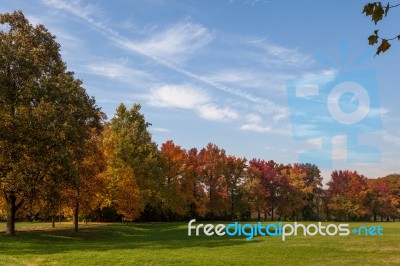 Autumn Tints In Parco Di Monza Italy Stock Photo