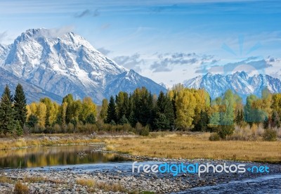 Autumnal Colours In The Grand Teton National Park Stock Photo